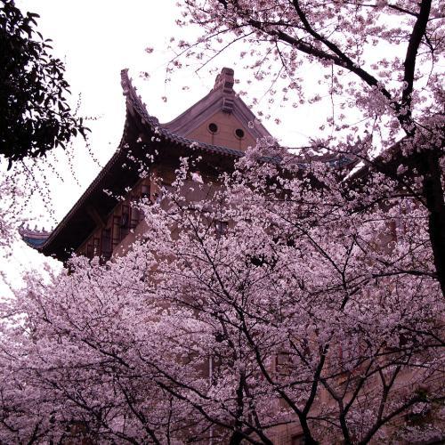 武汉大学2016-2018年录取分数统计表（普通一批）