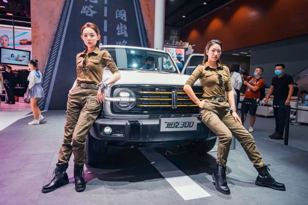 奥迪A3/坦克300/宏光MINI EV等，送女神的最好礼物
