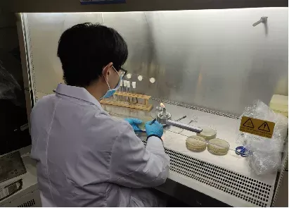 够任性！湖北学霸：放弃保研、高薪工作，2所世界名校抛来橄榄枝