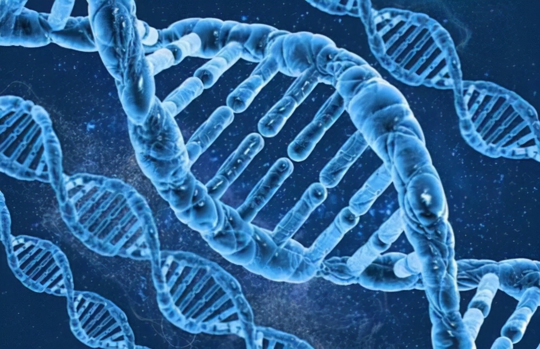一个未知的dna!研究称人类祖先曾与神秘生物杂交,会是谁?