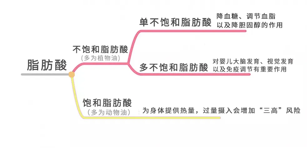 宝宝多大可以吃油？橄榄油、核桃油、亚麻籽油，到底要挑哪一个？