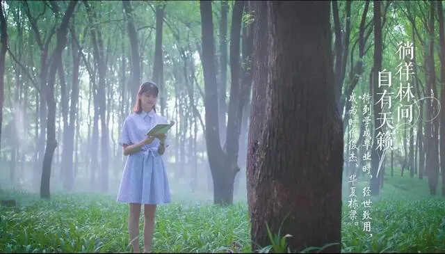 “青云计划”大学纵览3—华中科技大学