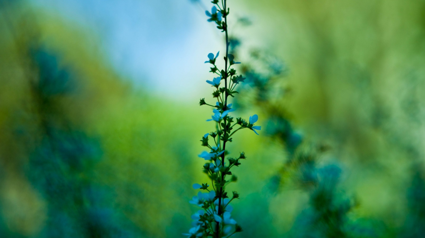 金牛座爱上一个人的时候，会是怎么样的？