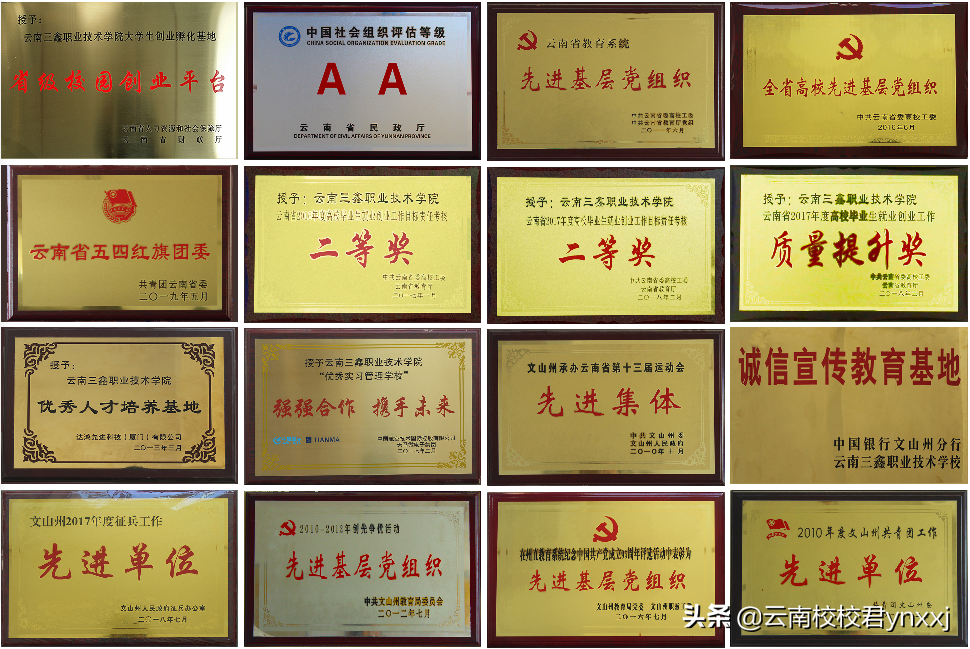 云南三鑫职业技术学院怎么样？