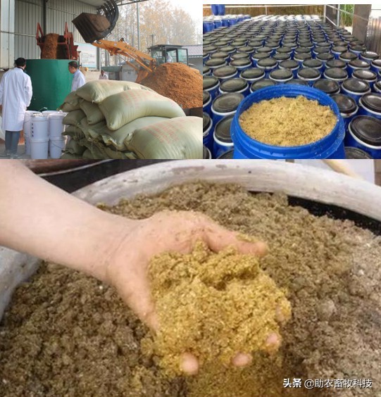 制作发酵饲料加入食盐的好处