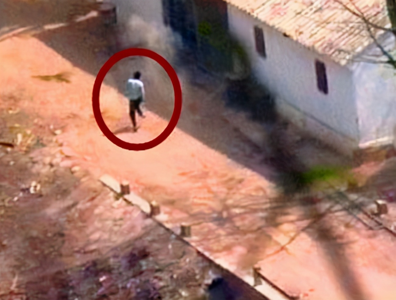 1993年，中央电视台播放一纪实专题片，后应全国观众要求重播5次