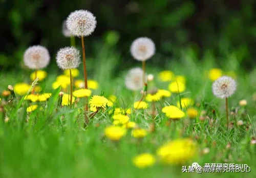 护肤水乳推荐 | 夏日专用，清爽补水，修复熬夜问题