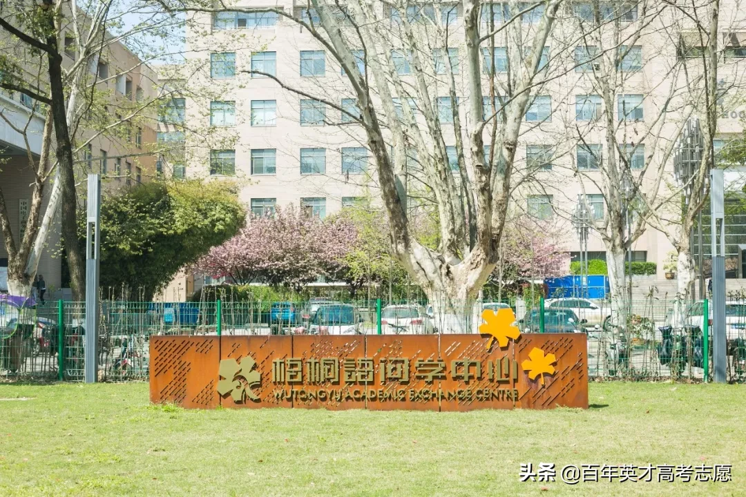 一定要去！这些高校“新地标”颜值爆棚，网红“打卡”新去处