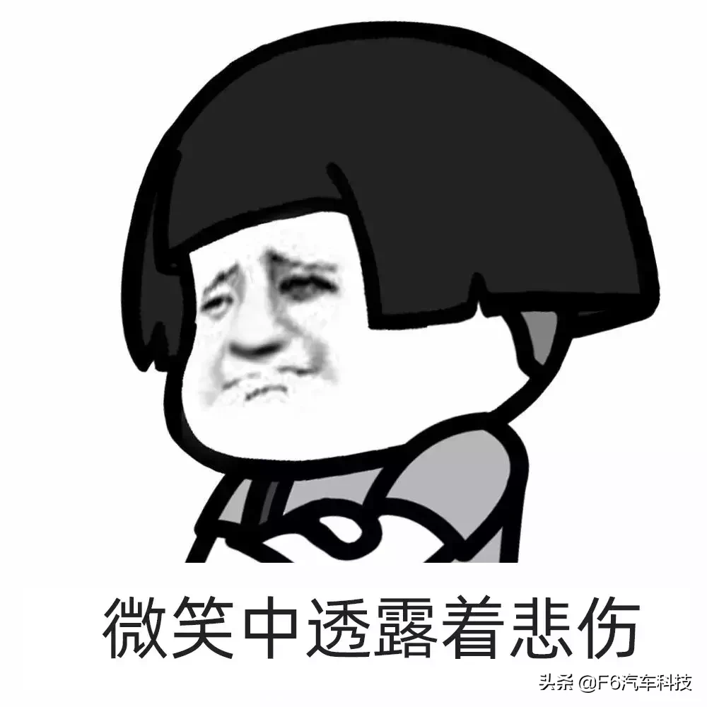 技师的大字典:保险丝查询功能,查保险丝只要1秒!| F6智数