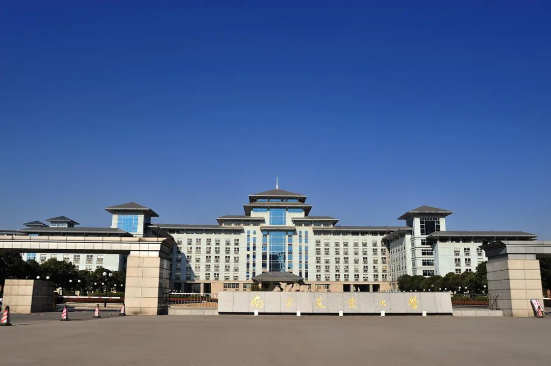 校考没过也能上的音乐类专业名校，有你想报考的院校吗？