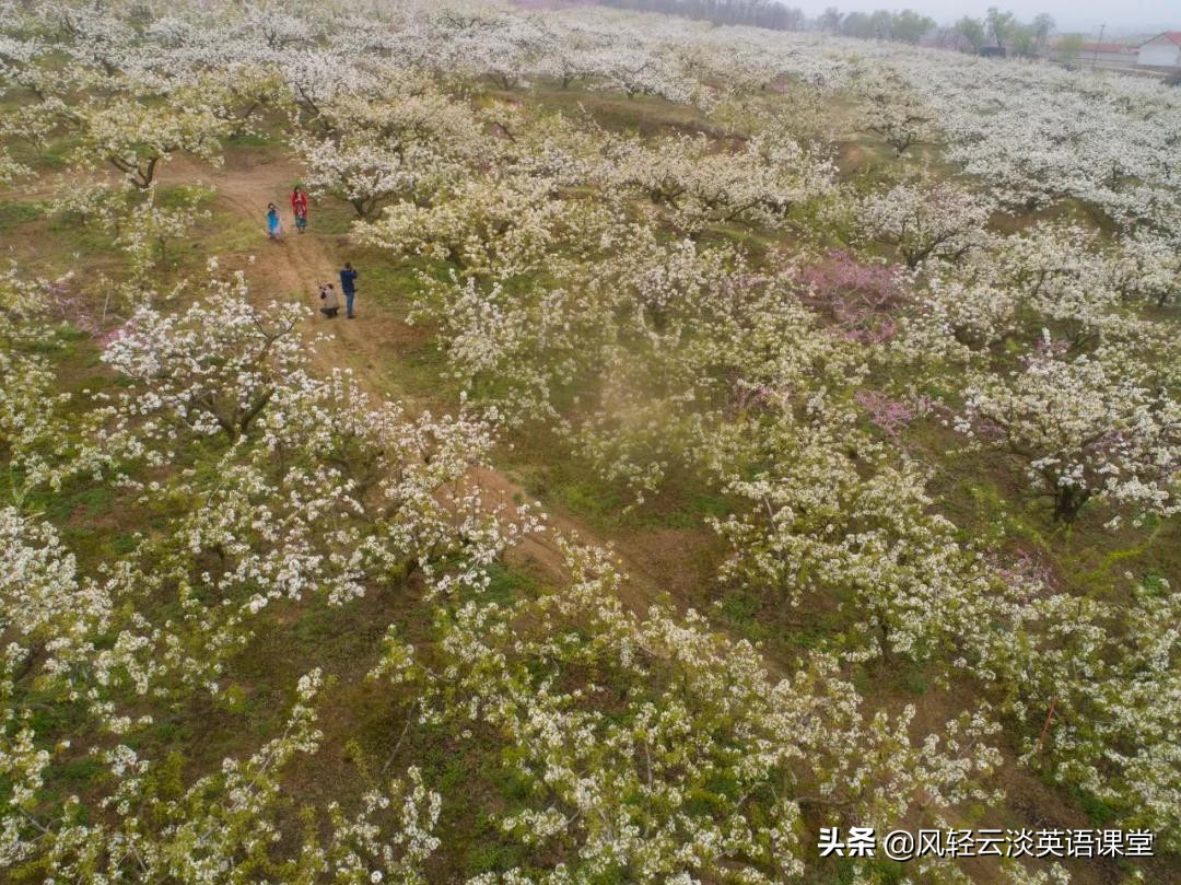 2020年高考作文三大热门题型，审题立意要注意什么？