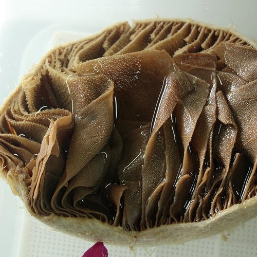 点火锅时，牛百叶、牛肚、毛肚傻傻分不清！到底有什么区别？