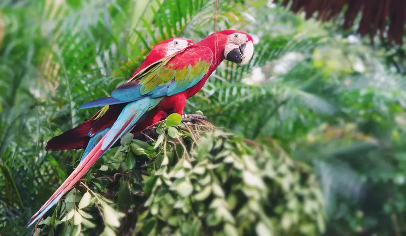 长隆欢乐世界旅游攻略景点必去（三天三夜欢乐长隆之旅）