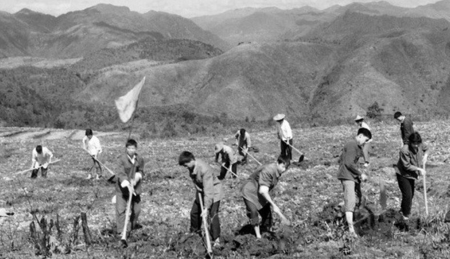 1965年，东北农村会计被检举，查出真实身份后，必须枪毙