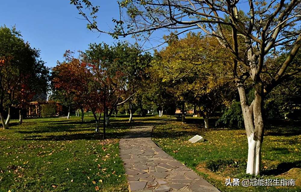 绵阳初中毕业男生想去成都读书-成都职业学校有哪些学校比较好