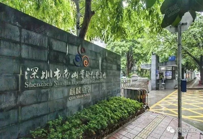 南山老牌名校，南山实验麒麟中学深度解读