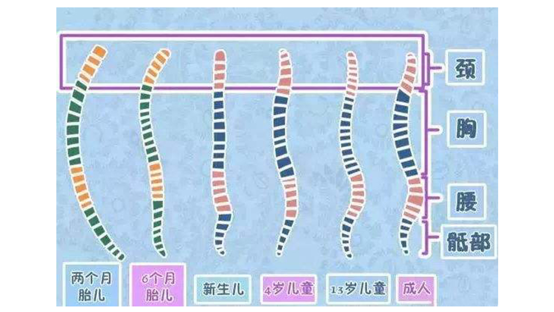 安全座椅选购科普，618安全座椅选购指南