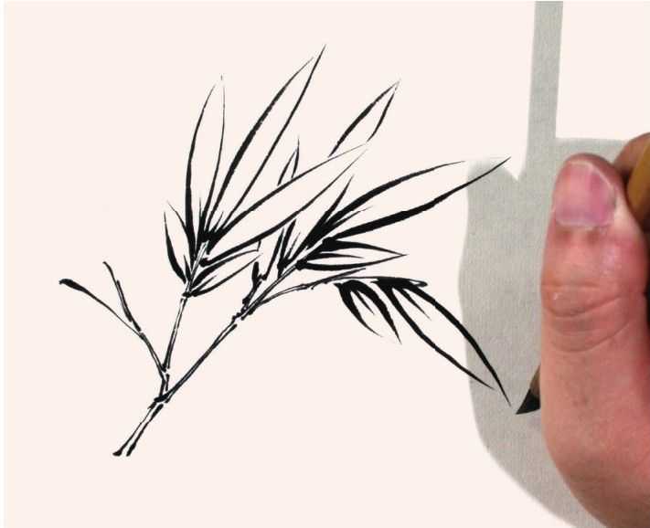 竹子表现技法：怎么样双勾法画竹子，分步骤讲解画法，简单易学！