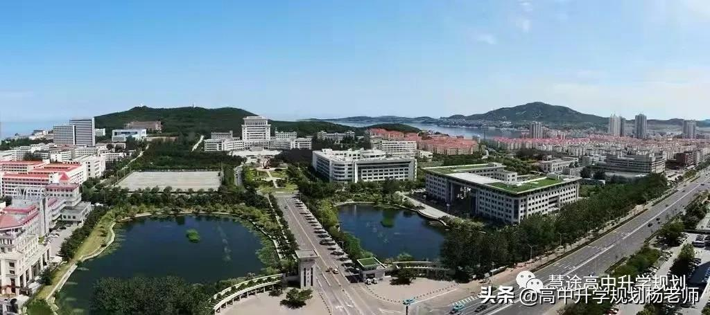 2018-2021年专业位次图 | 山东大学（威海）中外合作办学