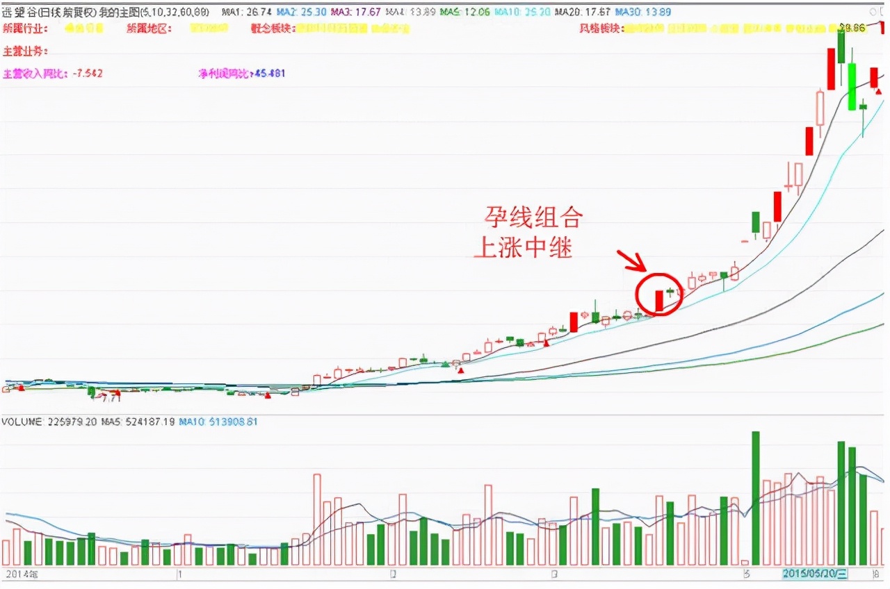 看涨孕线形态图片