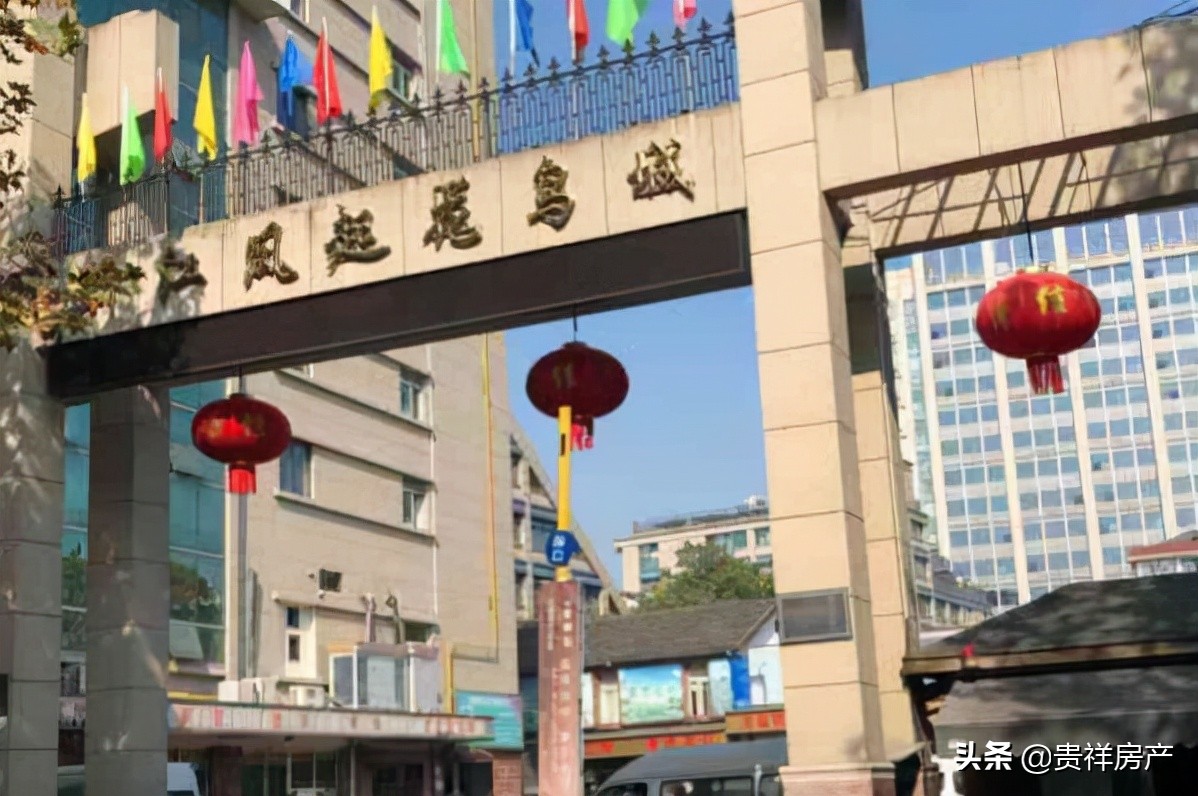 全国十大花鸟鱼虫市场，十里河花鸟市场上榜，第一全国规模最大