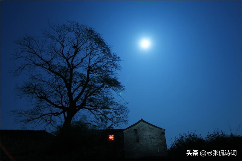 夜晚读唐诗，让人想家：“灯前一觉江南梦，惆怅起来山月斜”