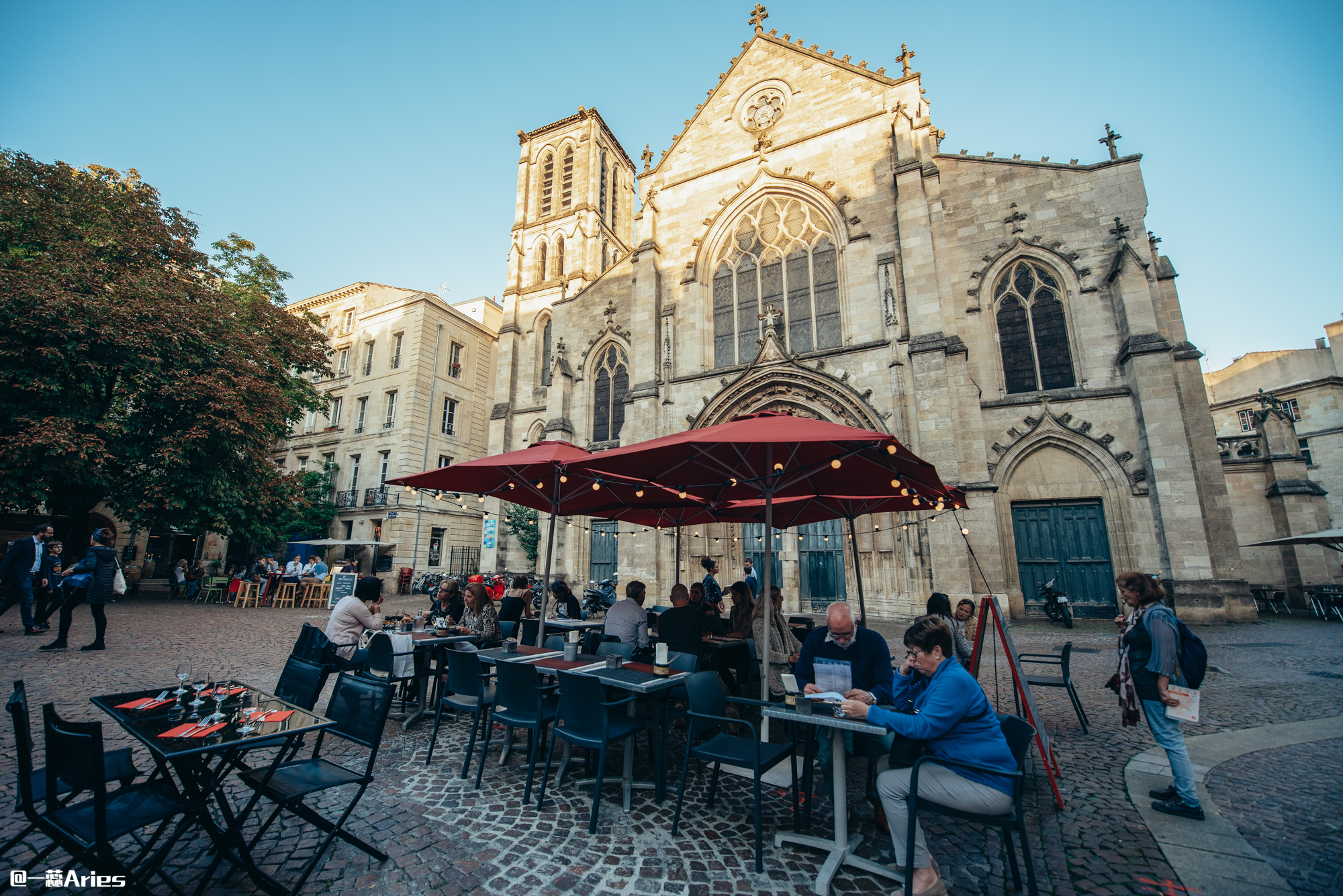 可以在2小时内游览波尔多老城内主要景点