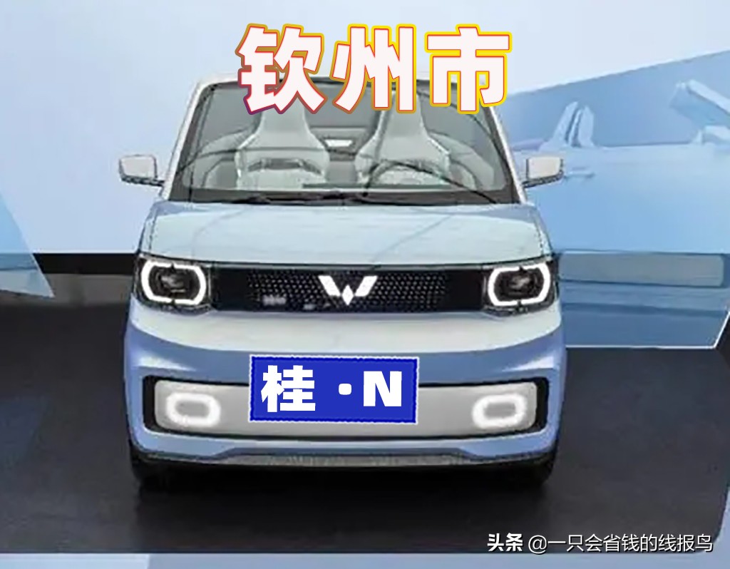 å¹¿è¥¿å£®æ—�è‡ªæ²»åŒºæ±½è½¦ç‰Œç…§å&shy;—æ¯�æ�’åº�