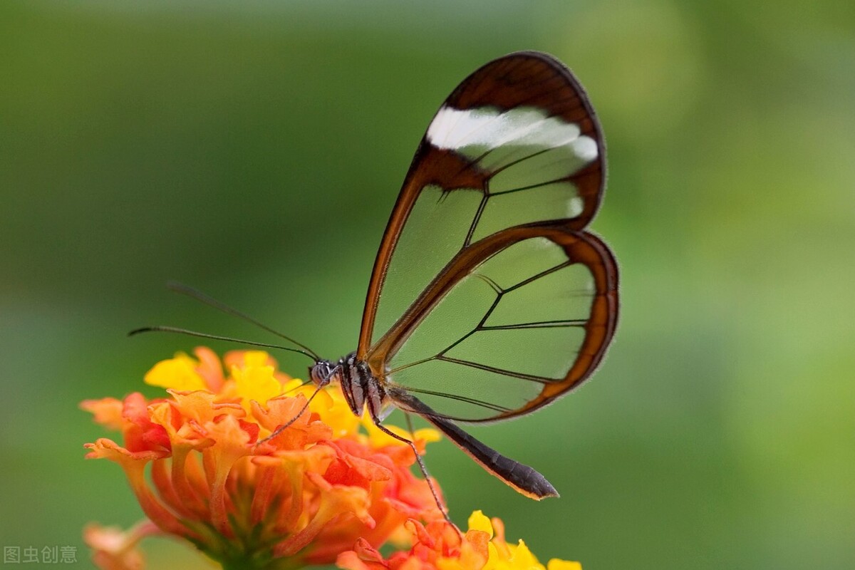 俗语“好汉不吃眼前亏”的下一句更精彩，更发人深省