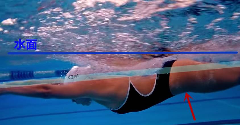 不克服这三个腿姿错误，蛙泳怎么会游得快？