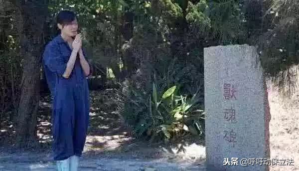 请致敬！“给狗做安乐死的她，最后一针却留给自己……”