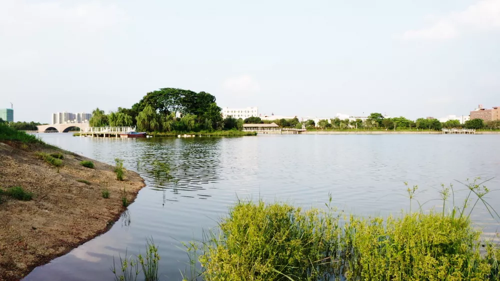 公园内有水生植物园,樱花园,碧桃园,榕树园水杉园,紫薇园同时也有樱花