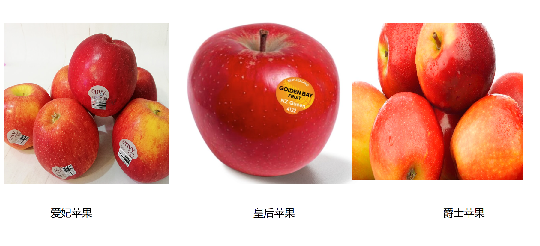 37个知名苹果品种，有的已被淘汰，有的老而弥坚，你认识几个？