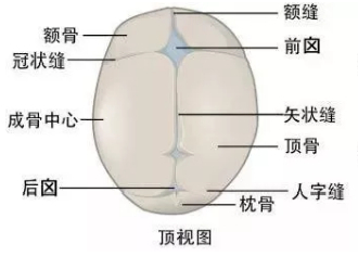 宝宝的扁头是天生的，还是睡出来的？准妈妈们要做到心里有数