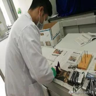 专业资讯 | 针灸推拿学：容嬷嬷都得甘拜下风的