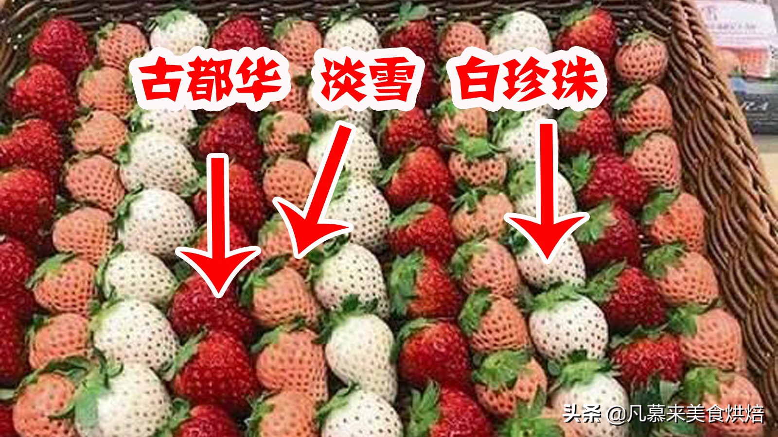 24种常见草莓品种，中国20大草莓产地？哪里的草莓最好吃？