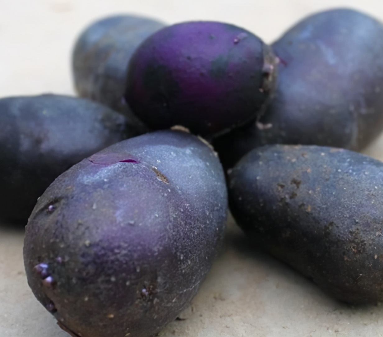 黑土豆:价格是普通土豆的5-6倍,农户正"积极扩种"