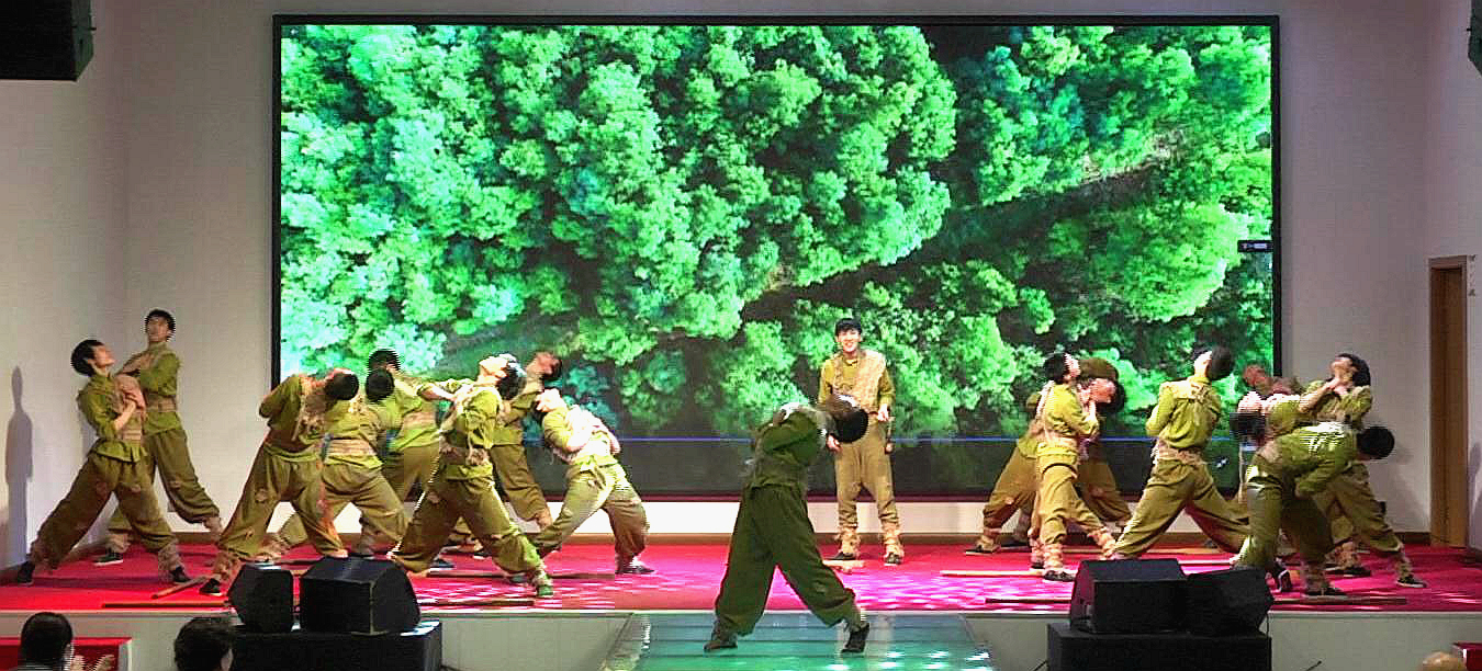 共享蓝天助残公益音乐会在成都举行