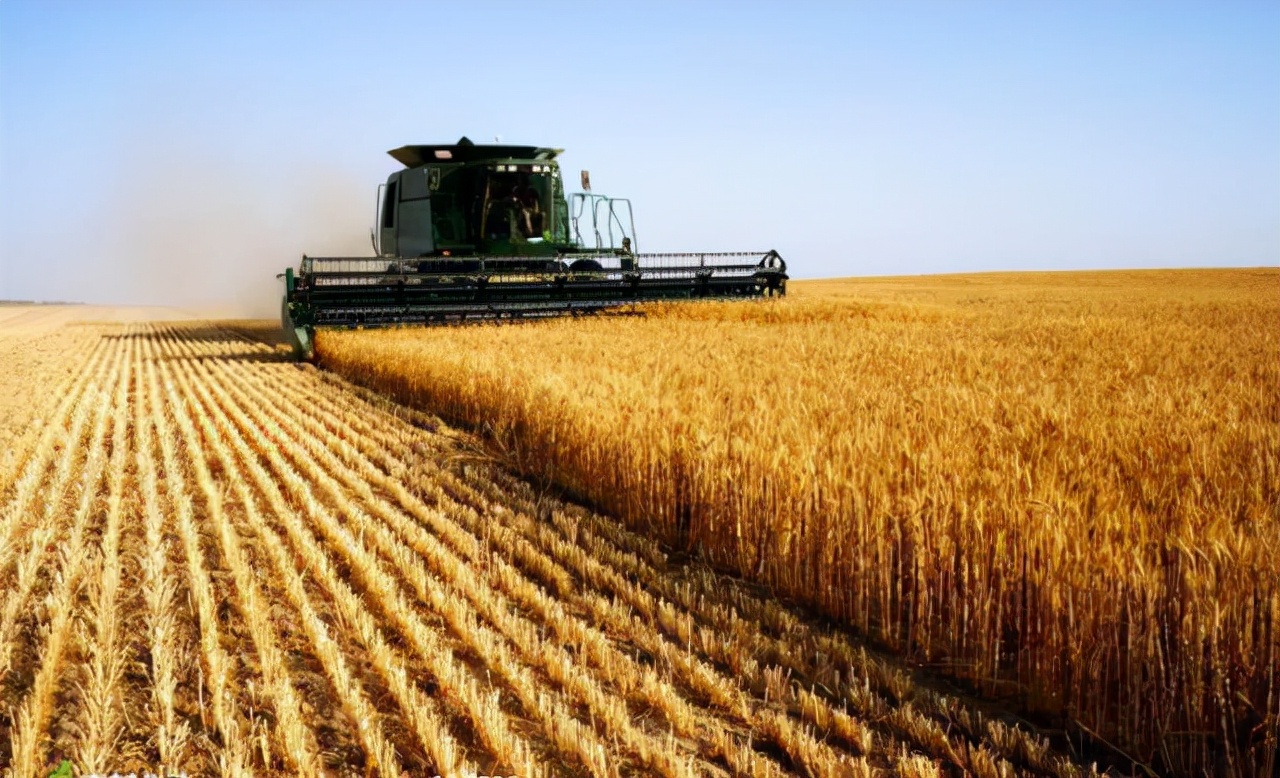 为何自己的土地补偿费被村委会扣留，还是村民的手续缩水？