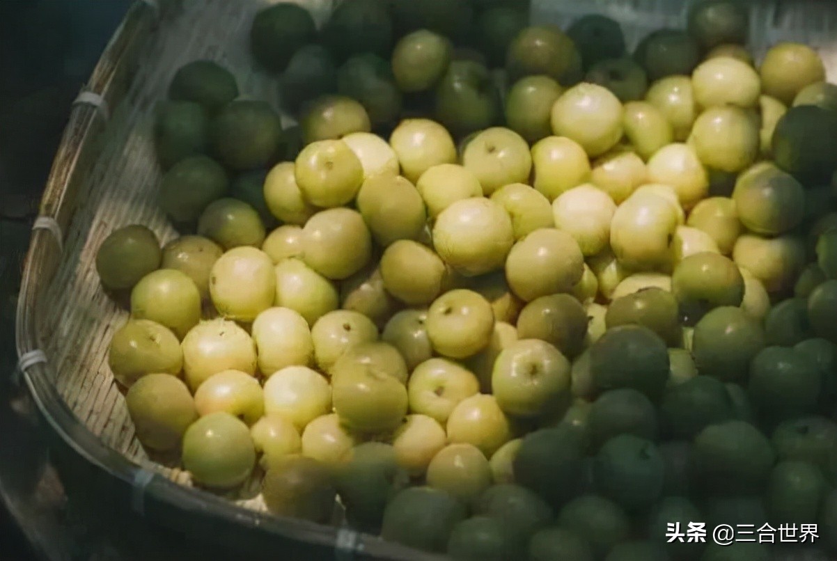 世界上最酸的十大水果，柠檬、酸枣、山楂、百香果上榜
