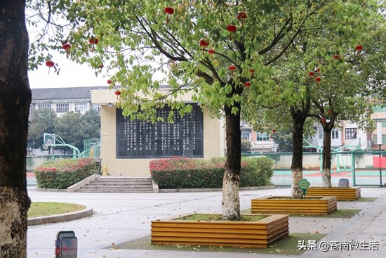 灵溪校园①</p><p>　　嘿！好久不见，甚是想念