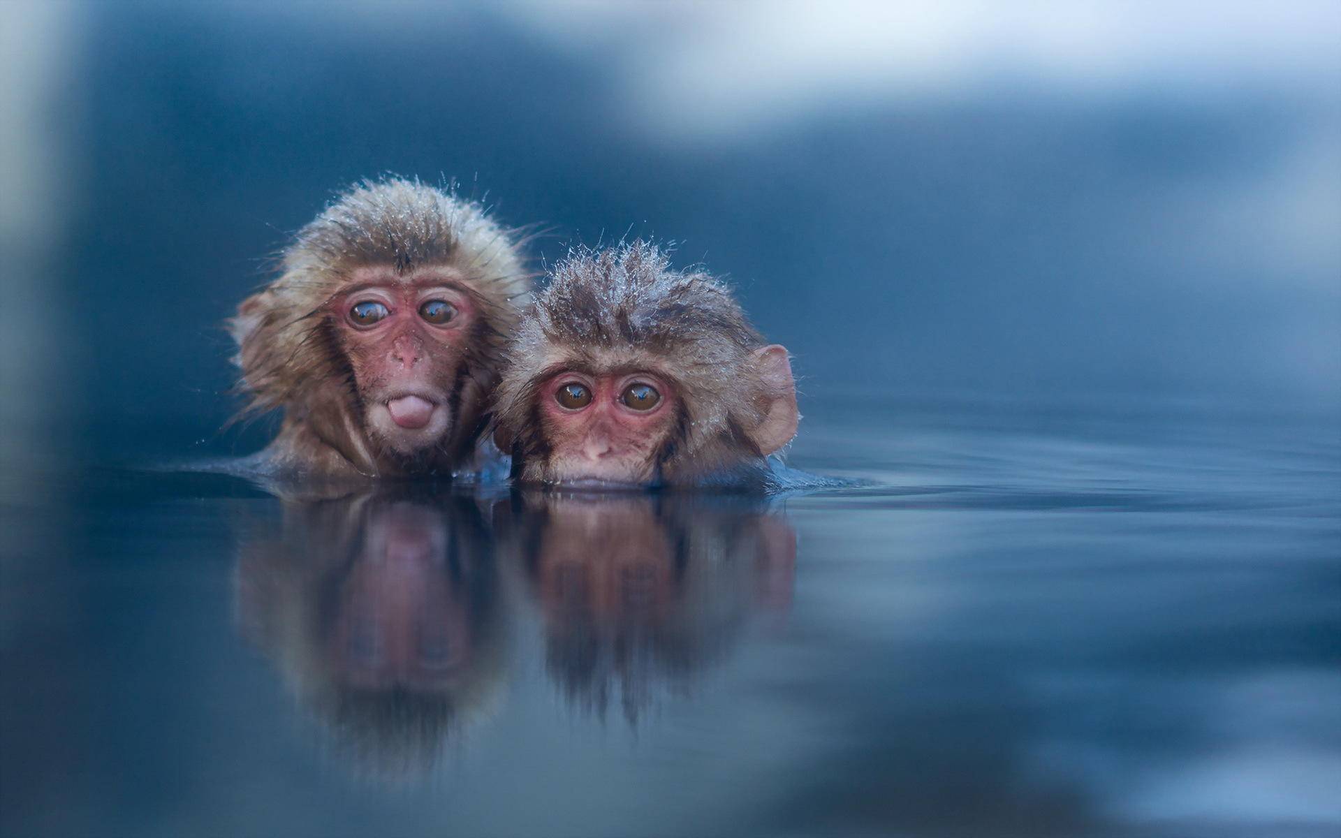 地球上原本没有人，第一个人是怎么来的？真的是水猴子变的吗？