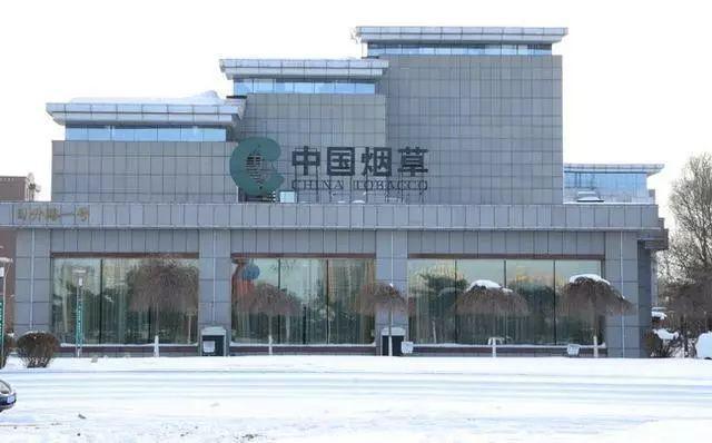 中国十大央企：国家电网、中石油、中石化、中国移动、中国联通、中国电信、中国建筑、中国中铁、中国铁建、中国交建，稳定就业的铁饭碗。