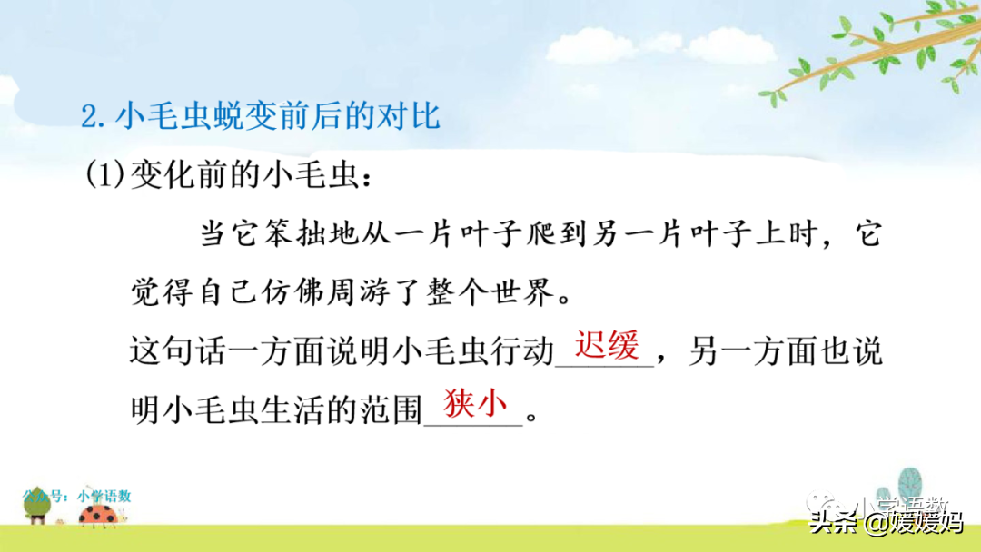 二年级下册语文课文22《小毛虫》图文详解及同步练习