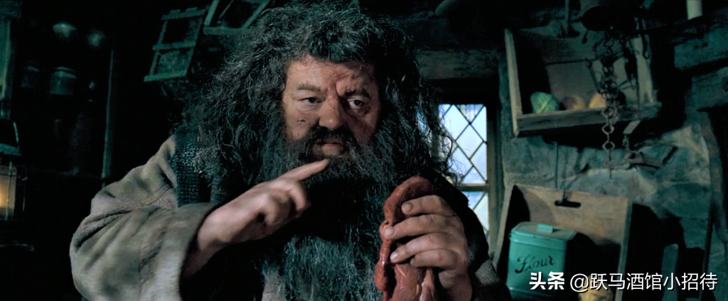 给麻瓜的《神奇动物百科》，魔法世界的动物到底有多神奇（长文）