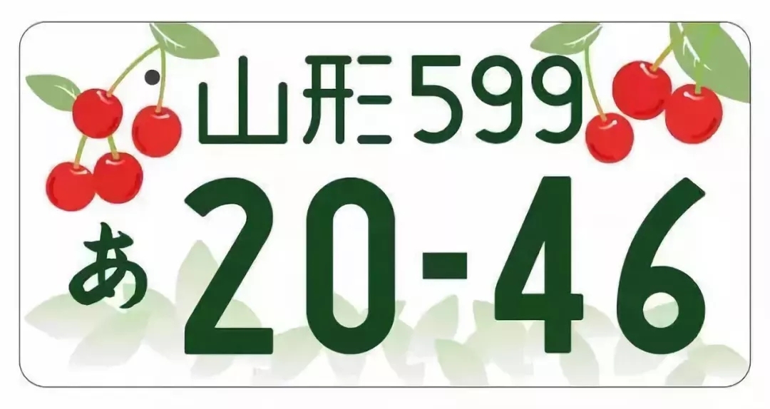 在日本生活，从汽车的车牌号上可以了解到哪些信息？