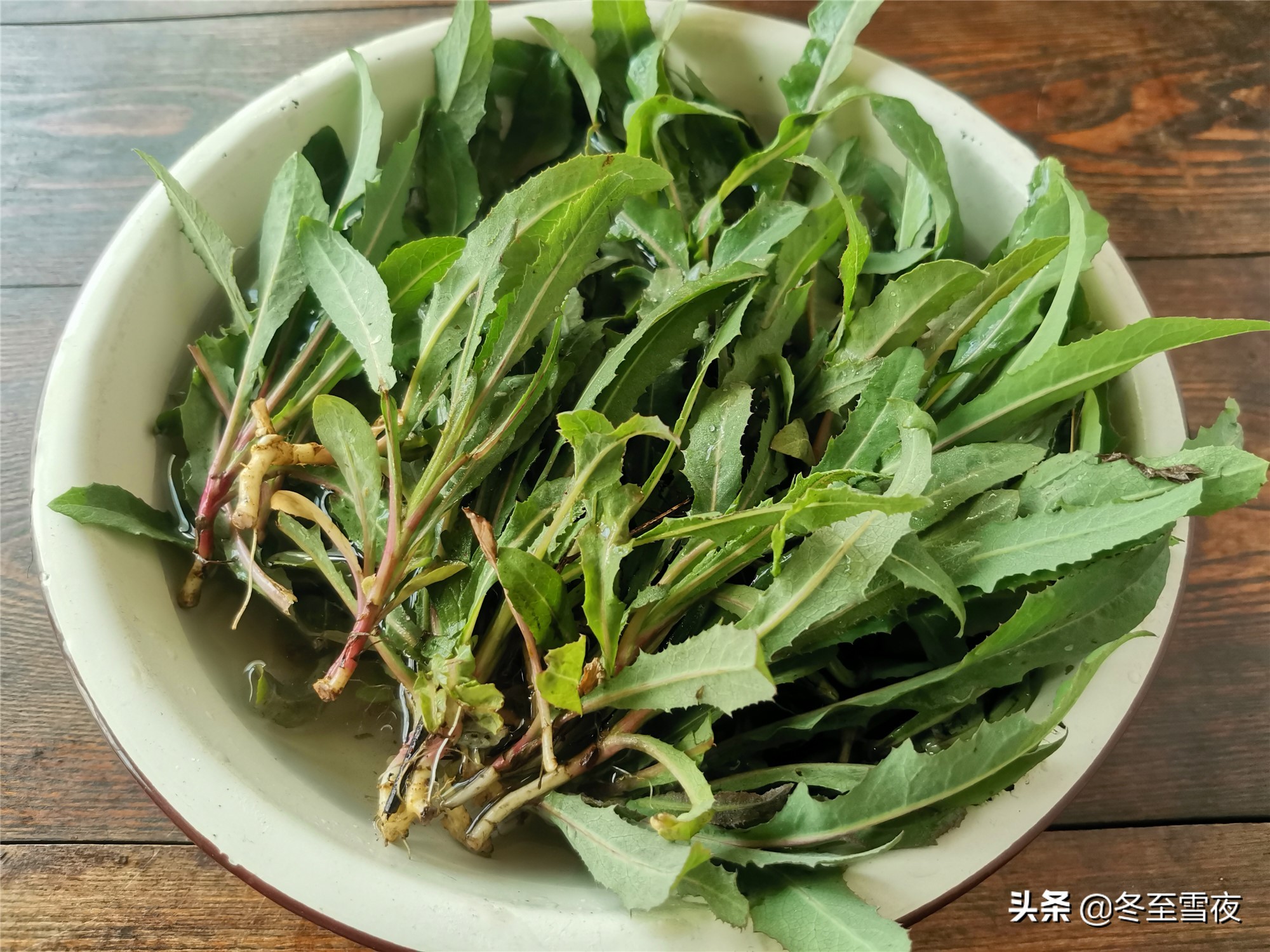 北方野菜图片名称大全(常吃的16种山野菜大图鉴)-思维风暴网