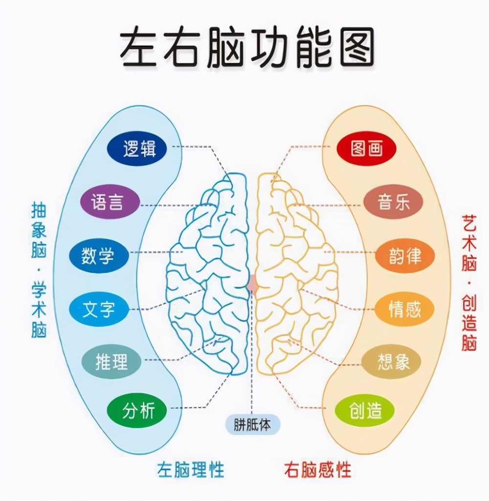 测试智商的图片(5张图片区分你是左脑型还是右脑型)