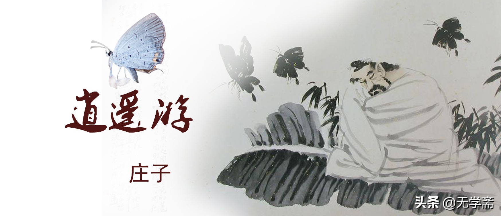 轻轻语医林甘泉（四）庄子逍遥游（8）