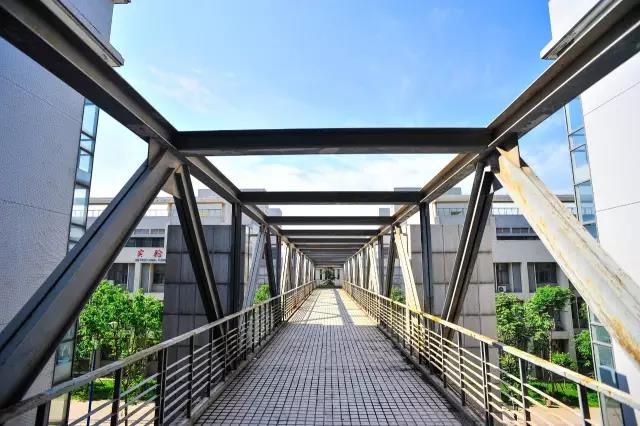 志愿填报进行时！选择西安外国语大学，10个理由就足够